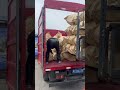 Not Just a Shipment | Every Bag We Load Carries a Customer’s Trust #Shorts