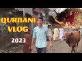 Qurbani vlog 2023  eid mubarak  mha records