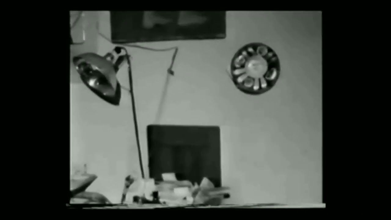 Sandro Penna (intervista rara)