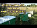 Заброшенная Пасека Сыграет Роль Страховки