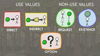 Valuation of Ecosystem Services: Classes of Values