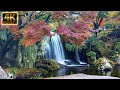 4k ultra  beautiful nature  soothing music