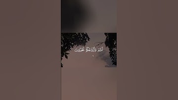 القران الكريم راحه نفسيه ☘️💚☘️#اكسبلور #المصحف #قرآن #دويتو #💚#