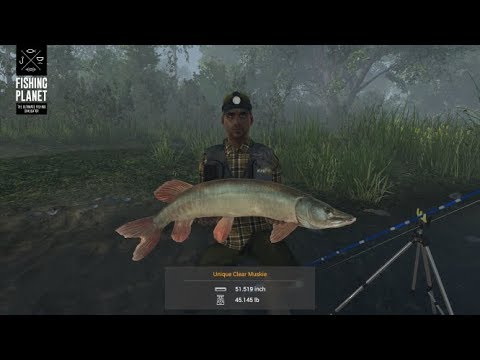 Fishing Planet Bluntnose Minnow Saint-Croix Lake Michigan 