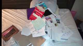 Mikhail Mcdaniel Pro