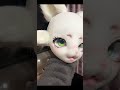 Fursuit Making Tutorial Head Making Tutorial Fursuit Furry Furries Fursuitmaking Therian Fursuit Making Tutorial Head Making Tutorial Fursuit Furry Furries Fursuitmaking Therian