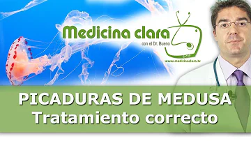 ¿Cuánto tardan en curarse las picaduras de medusa?