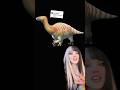 Lurdusaurus facts!! #lurdusaurus #animalfacts #dinosaur #dinosaurfacts #dinosaurs