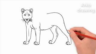 How to draw a tiger   How to draw a tiger easy   animals drawing art tutorial
