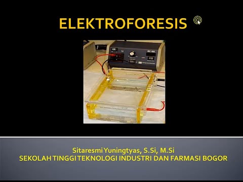 PENGANTAR ELEKTROFORESIS