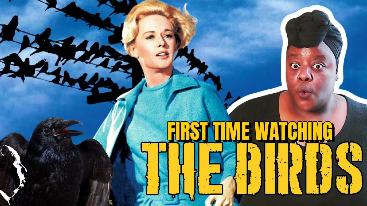 The Birds Reaction | I Think We Need More Birds | Hitchcock Marathon