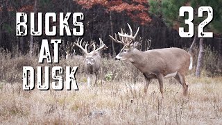 Bucks at Dusk Episode #32