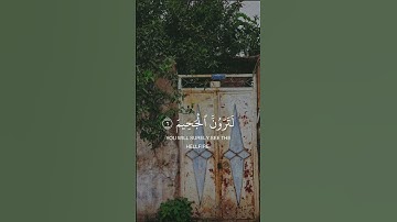 سورة التكاثر الشيخ علي الحذيفي 🤍🤍