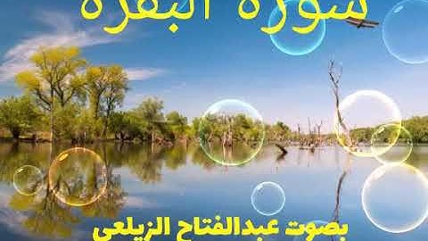 سورة البقرة . بصوت القارئ عبد الفتاح الزيلعي