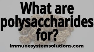 What are polysaccharides for - Immune System Solutions