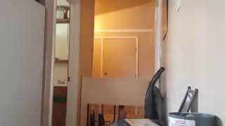 Cookie The Escape Pug