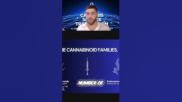 Endocannabinoids: Why Your Body Needs This System