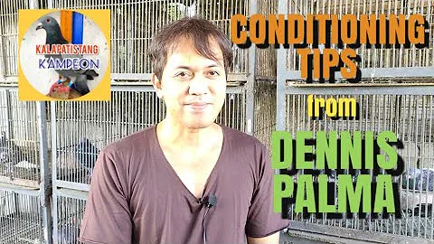 Conditioning Tips from DENNIS PALMA | Kalapatistan...