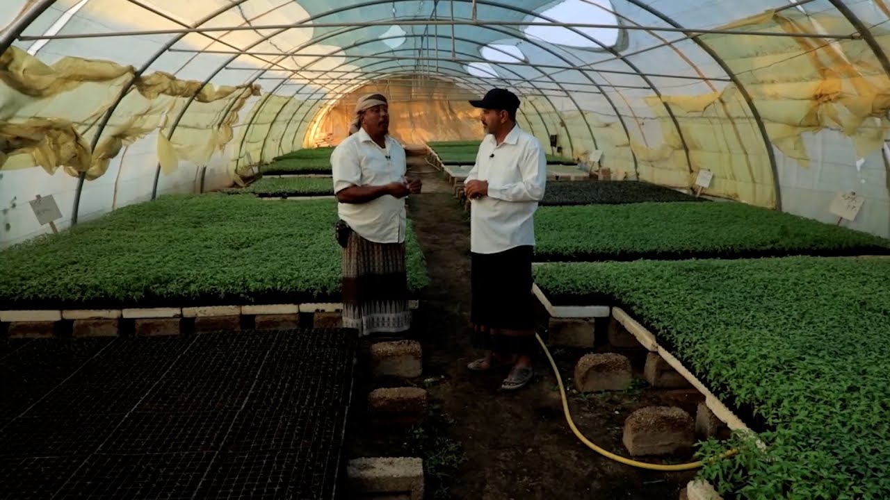 الأرض الطيبة 2 - الحلقة الخامسة ( أحمد باضاوي - مزارع من مدينة سيئون )