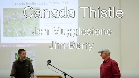 Canada Thistle, Biology and Control