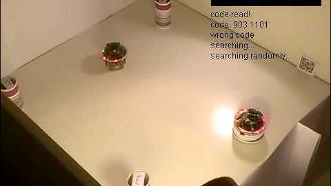 E-puck Vision (Applications in Swarm Robotics)