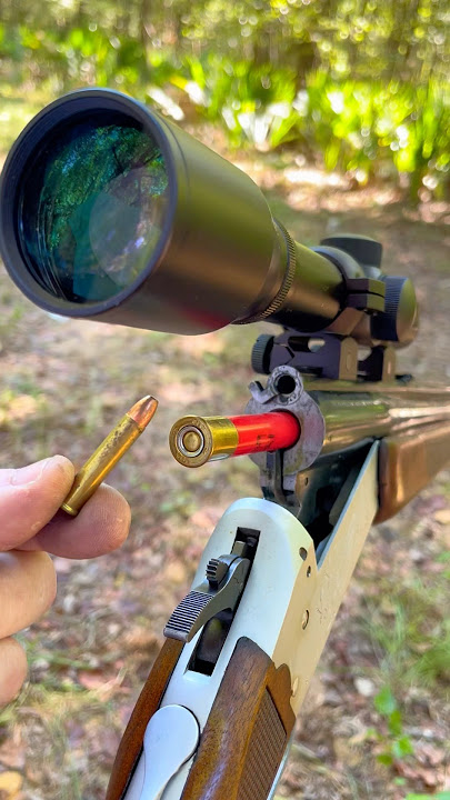 1 Trigger, 2 Guns: The .410/22 Magnum Combo Rifle