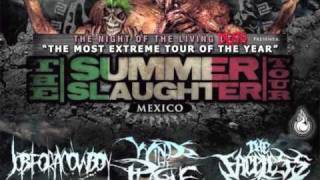 Summer Slaughter: México 2010 Circo Volador SPOT