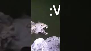 No Tolero El Miedo