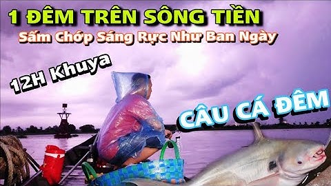 Trãi Nghiệm 1 Đêm Săn Cá Khủng Trên Sông Tiền | Thách Thức Từ Thiên Nhiên