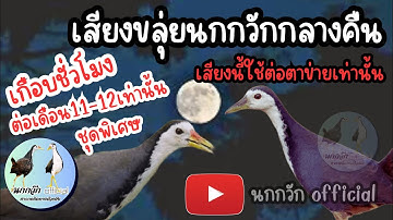 เสียงเรียกนกกวักกลางคืน เสียงขลุ่ย ฟังสบายๆ ใช้ต่อกลางคืนตาข่าย สายล่าต้องพกไว้ติดตัว