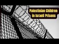 The truth about palestinian children in israeli prisons