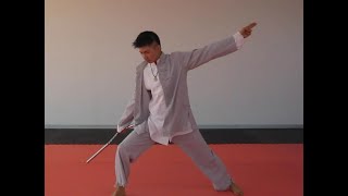 LongQuan Kung Fu (Wushu) Shuang Jie Gun (Nunchakus) Form - Slow Version by Sifu Claudius Chen