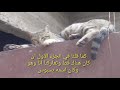 القصة الثاني ل شوشو