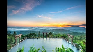 NIKAYA Tất Niên 2021 - Sống Với Sự Thật - Nhìn Lại Năm Qua - Nhớ Ơn Đạo Sư