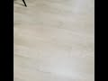 청주 파충류 펫샵 뉴월드 애니멀의 포유류 마스코트