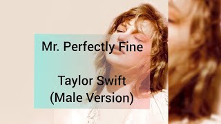 Taylor Swift - Mr. Perfectly Fine (Taylor's Version) | Slowed + reverb