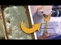 HERE GO SOME HONEY! Simple honey extraction and one-step beeswax processing