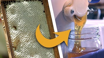 HERE GO SOME HONEY! Simple honey extraction and one-step beeswax processing
