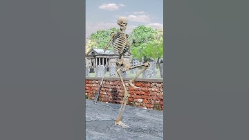 Mini shuffle dance tutorial- Spooky Scary Skeleton Shuffle - Blender 3D