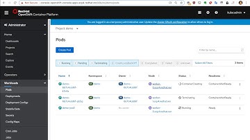 openshift 4.3 calico + static ip