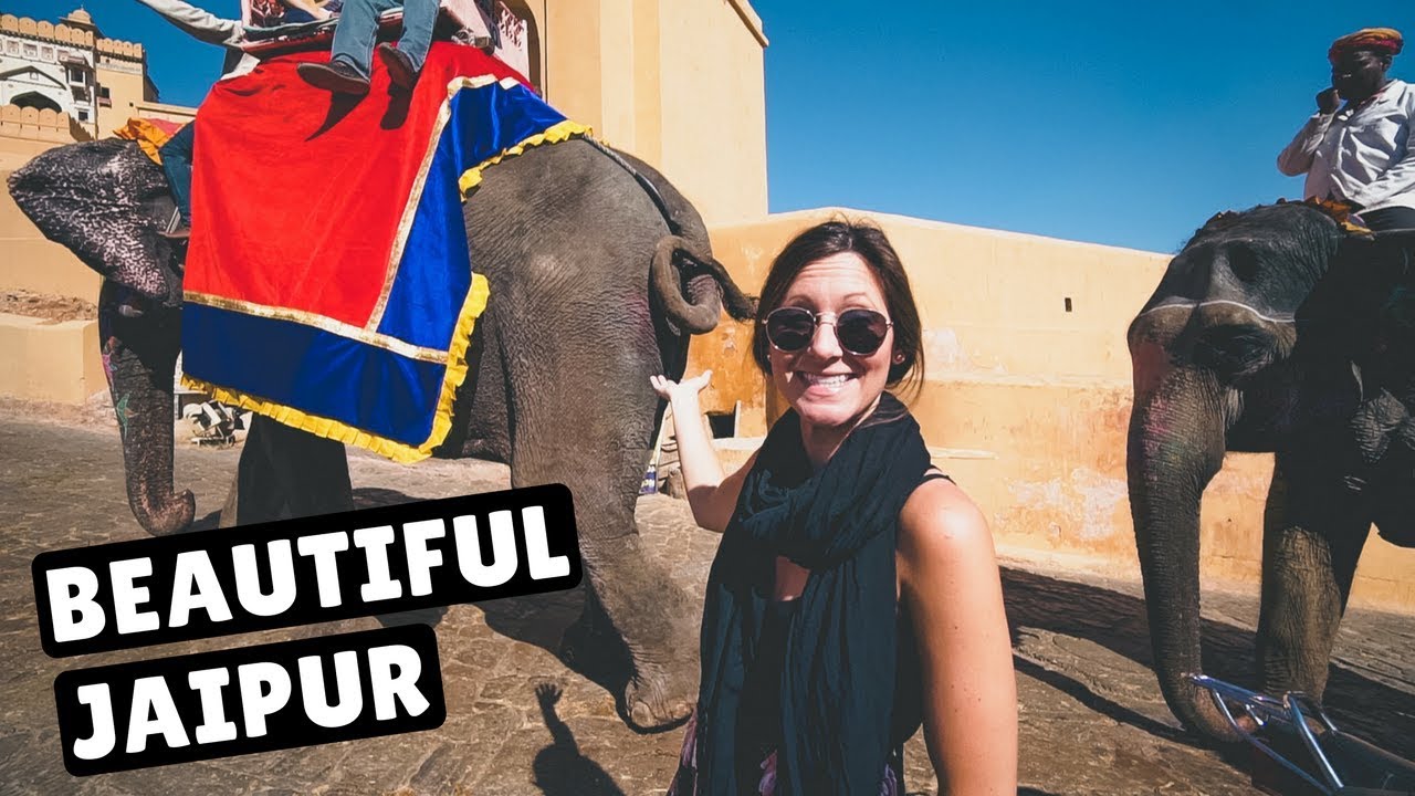JAIPUR’S MONKEY TEMPLE & AMER FORT | India Travel Vlog