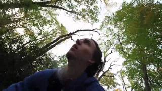 Biking & Sunset In Welwyn Preserve