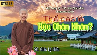 Thế nào là bậc chân nhân - Kinh Trung Bộ 113 - Kinh Chân nhân - SC. Giác Lệ Hiếu