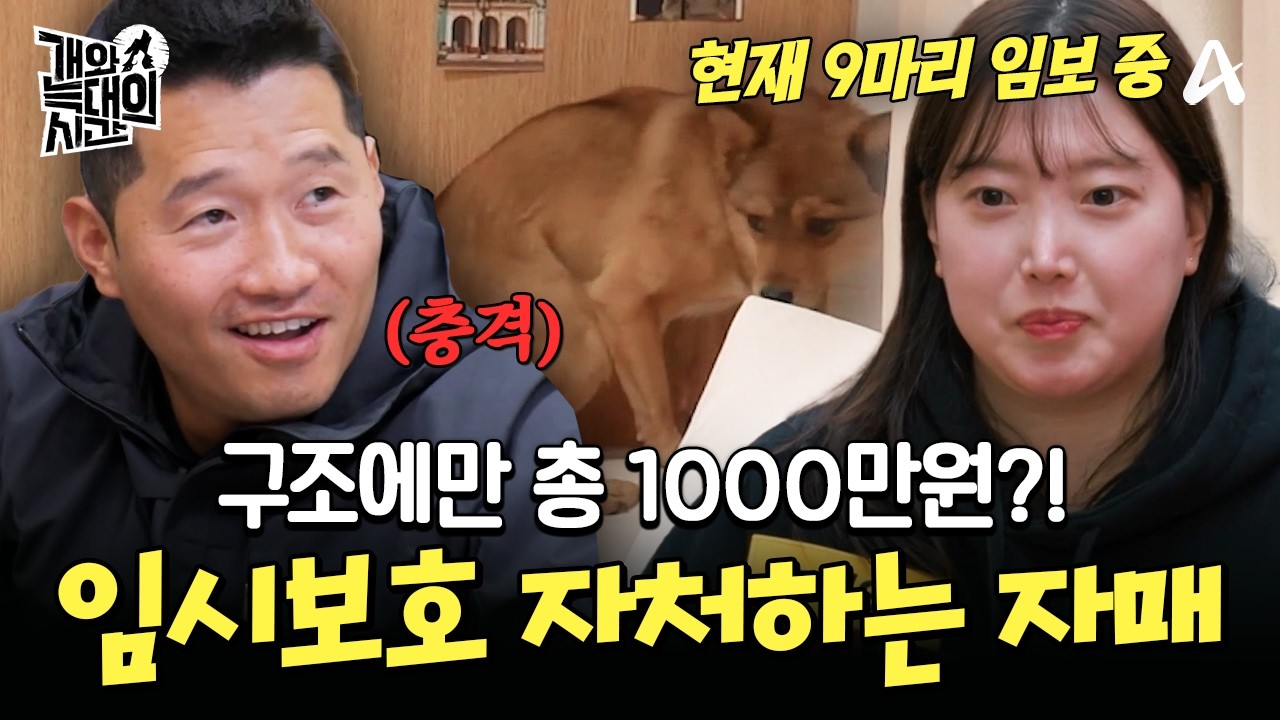 부모님 몰래 동물 구조에만 1000만원?! 들개 가족 데려와 임시보호하는 자매🐶| #개와늑대의시간2 3회