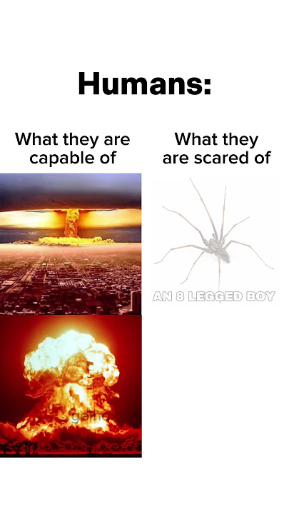 Humans be like: