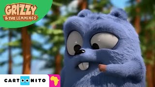 Grizzy \& the Lemmings | Gravity | Cartoonito Africa