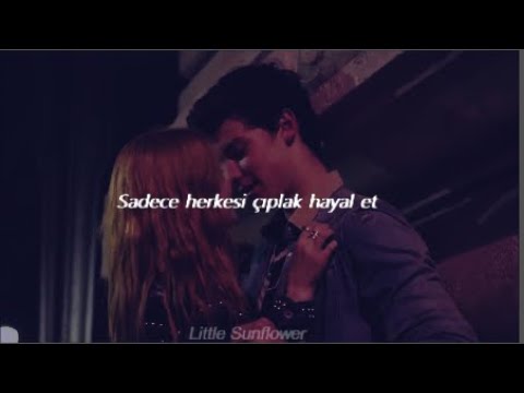 Shawn Mendes - There's Nothing Holding Me Back (Türkçe Çeviri)