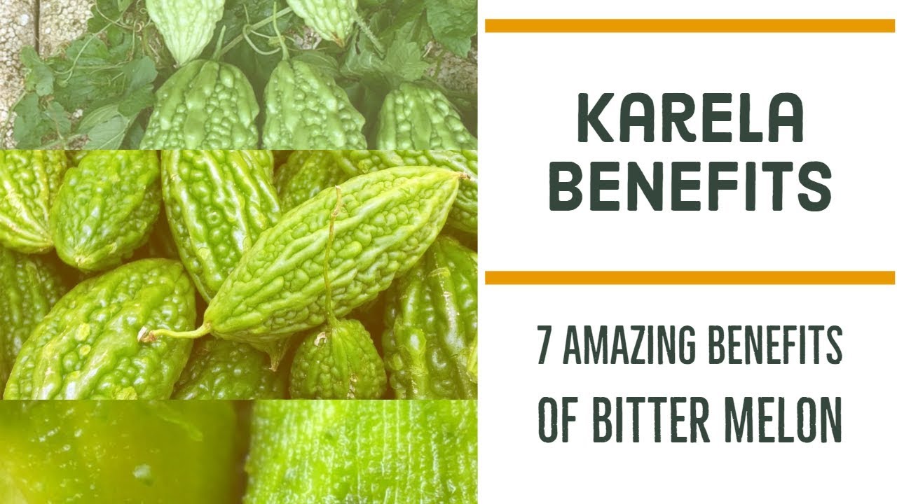 7 Amazing Benefits Of Karela Health Benefits Of Bitter Melon Wellnesstips Diabetes Karela Youtube