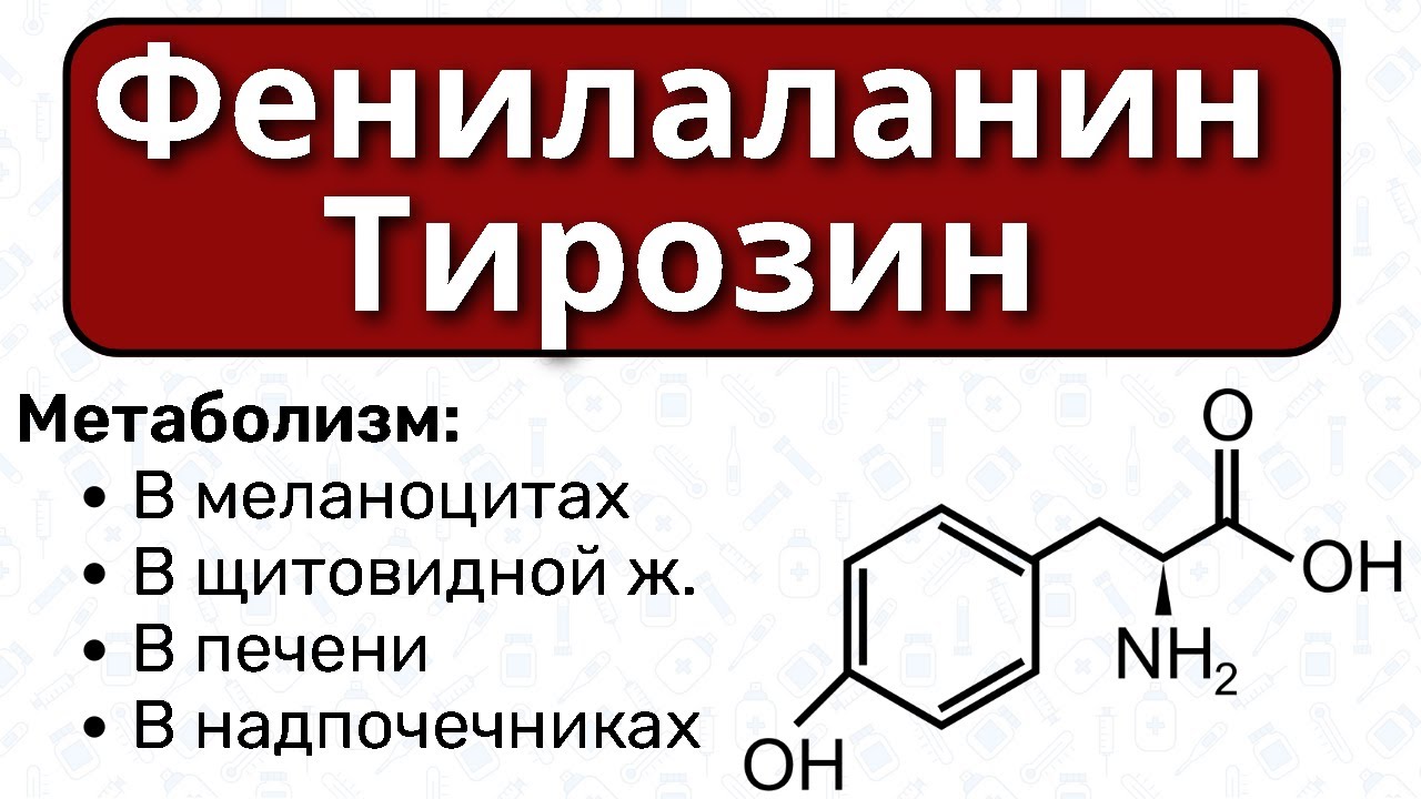 Фенилаланин биохимия. Фенилаланин в тирозин. Фенилаланин строение. Обмен тирозина биохимия.