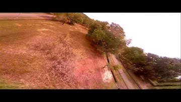 Betaflight // Dshot // Tree twist